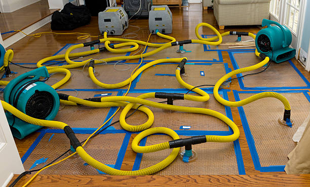 Professional Structural Drying And Dehumidification technician working in Everett, WA